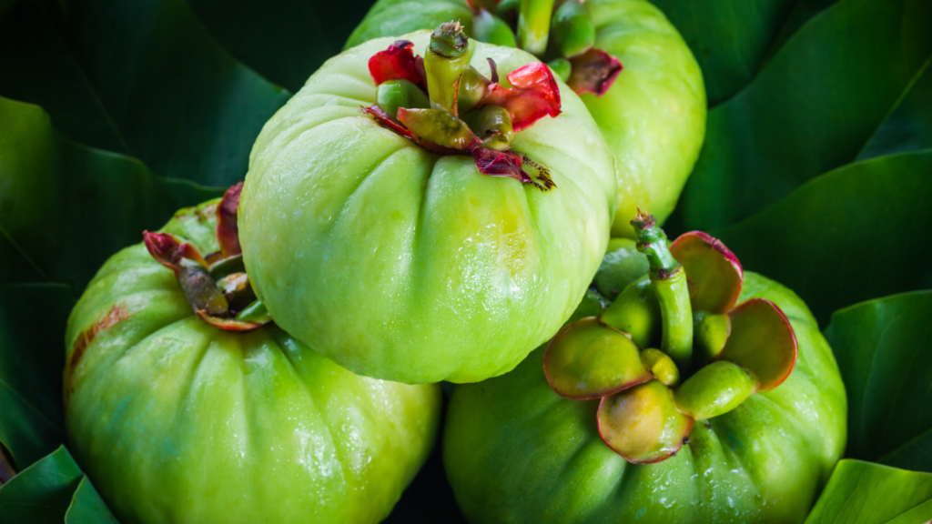 Garcinia Cambogia: A tropical fruit extract known for its appetite-reducing effects.